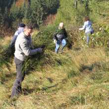 Landschaftspflegeaktion;